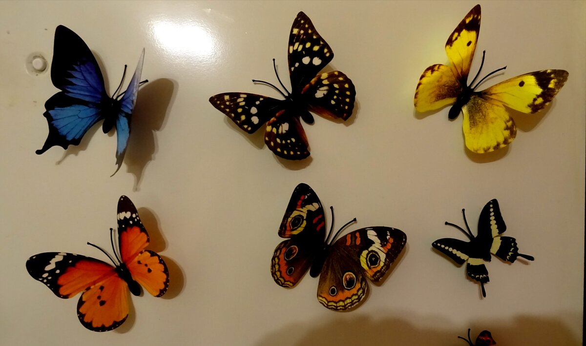 Бабочки декоративные - Татьяна Р 