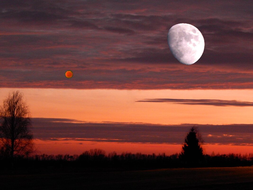 Луна и Марс - Alisa Koteva 