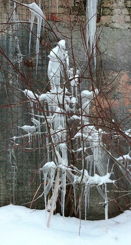 Зима в Царском Селе - Наталья Герасимова