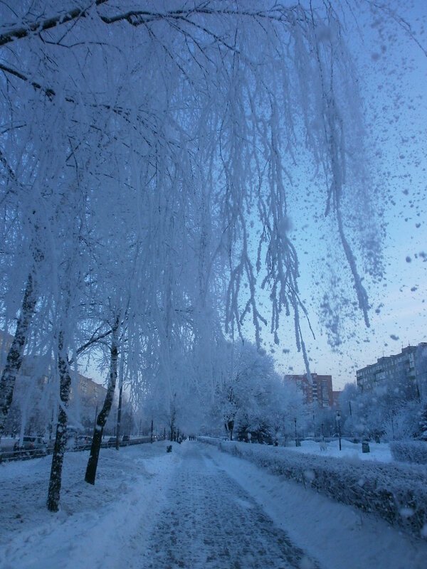 Зима ... - Алёна Савина