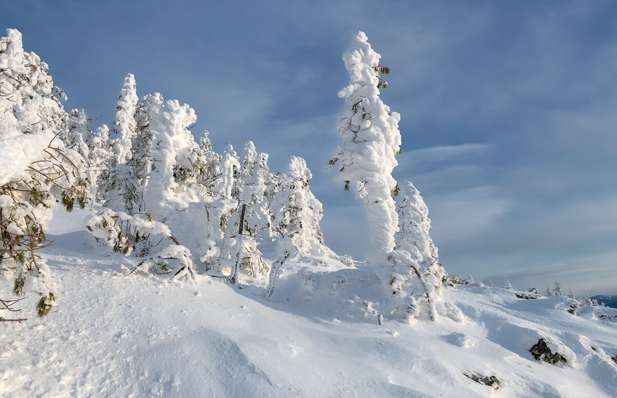 Снежные жители горы Аргыджек - Марина Фомина.