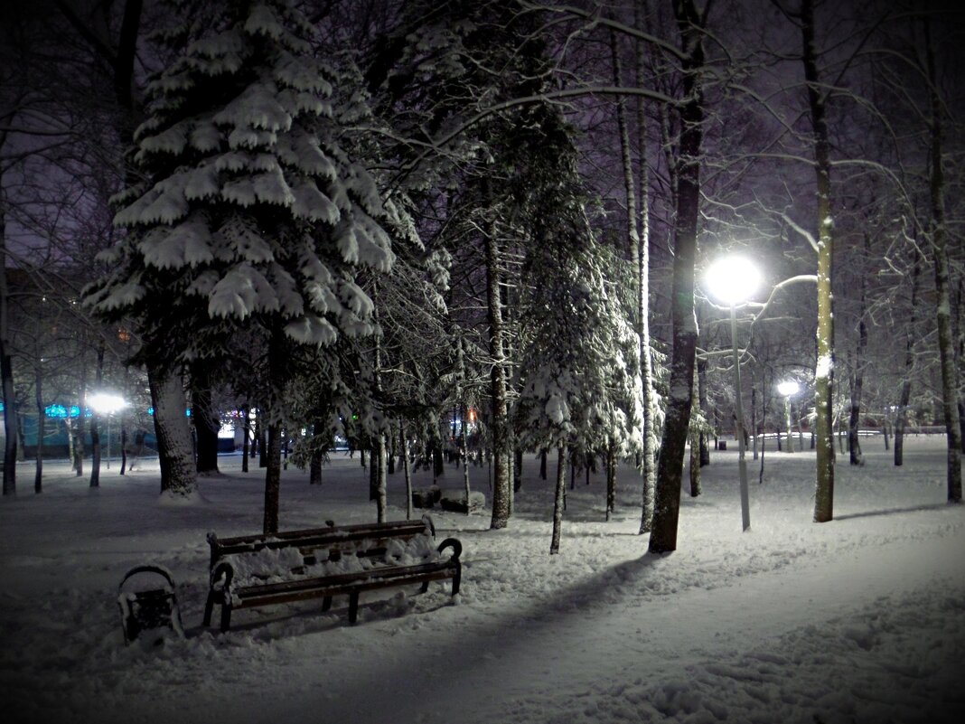 Зимний вечер в парке - MarinaKiseleva 