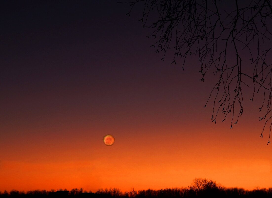 Венера в закате - Alisa Koteva 