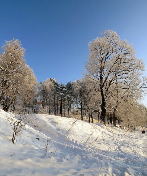 Зимний пейзаж - Вера Щукина