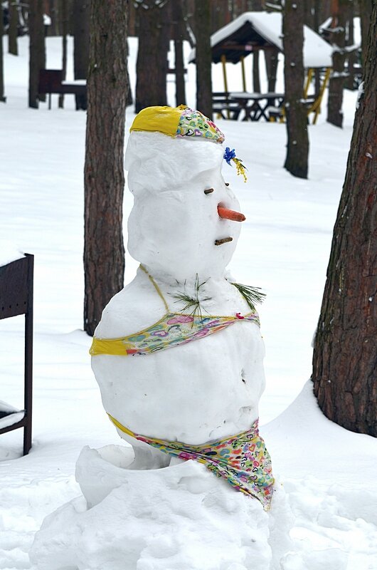Снеговик в бикини - Сеня Белгородский