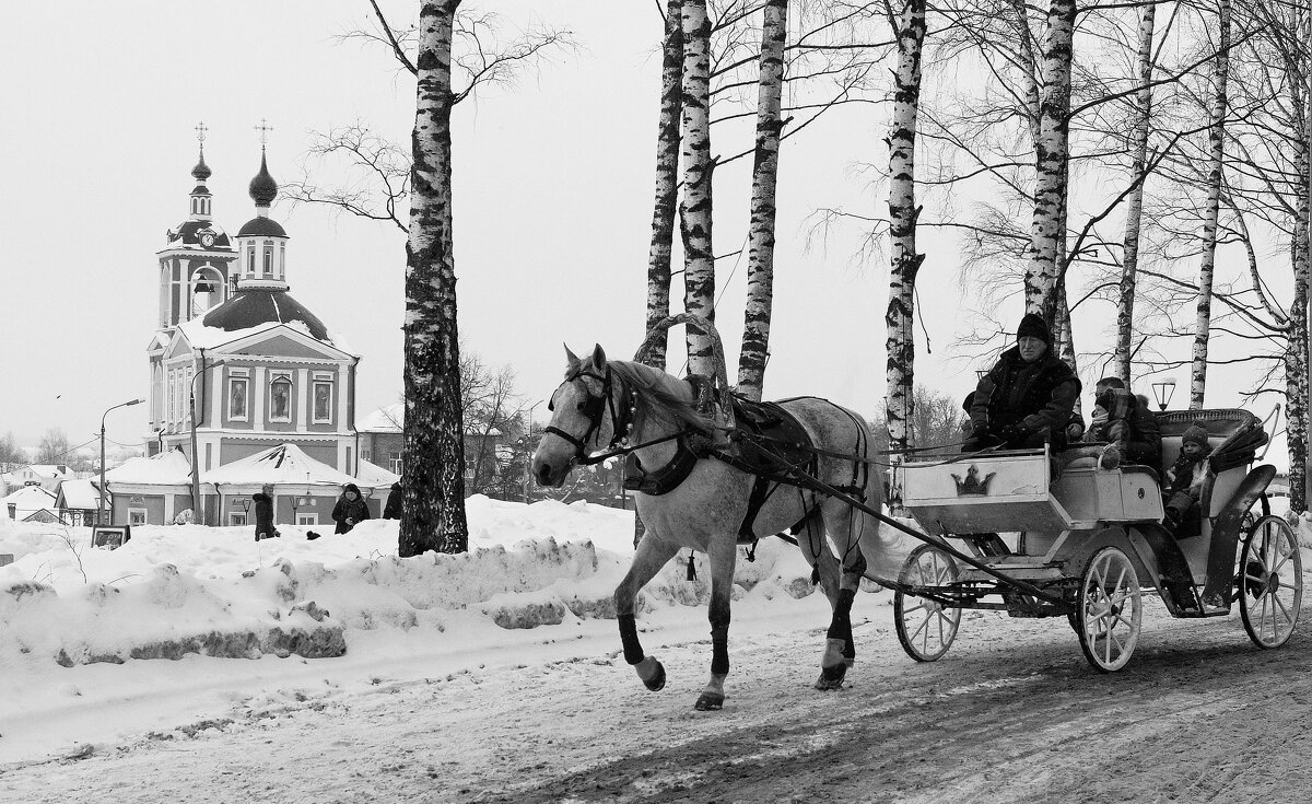 Посадский монохром... - Фёдор Бачков