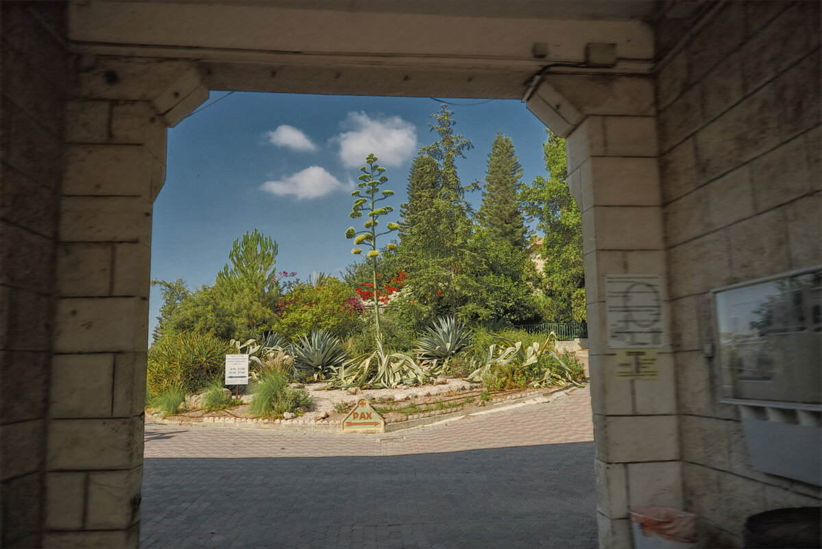 Взгляд из  переулка  -Израиль - ujgcvbif 