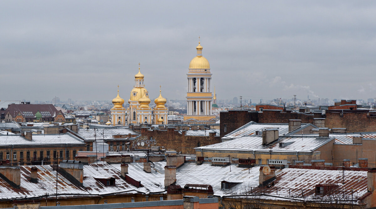 Петербургские крыши и Владимирский собор - Ирина 