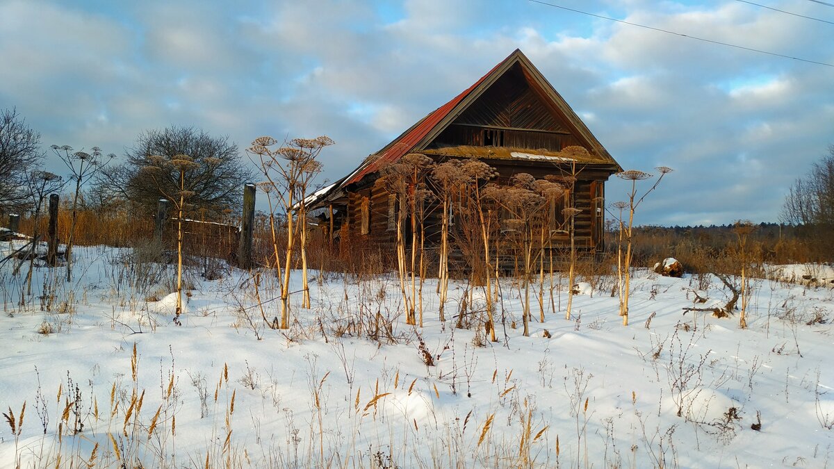 Борщевик - Олег Денисов