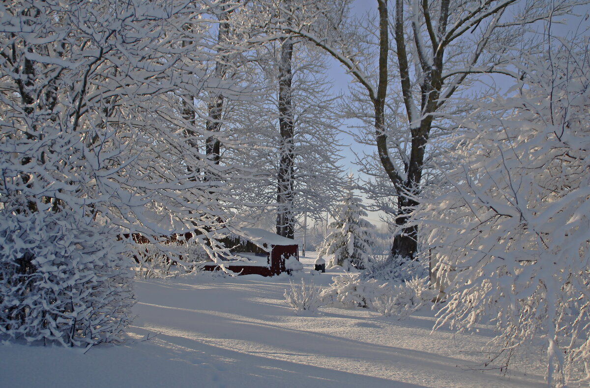 Люблю зиму за белый цвет.. - Татьян@ Ивановна