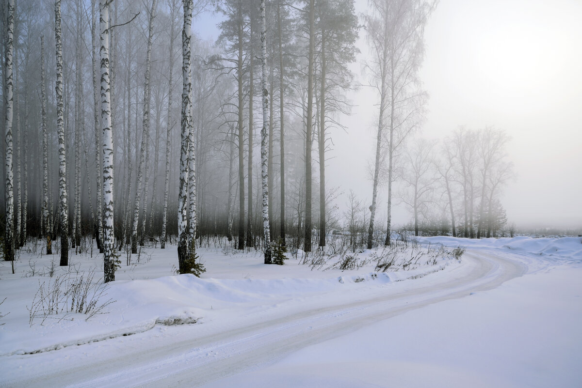 Зимнее туманное утро - Василий Колобзаров