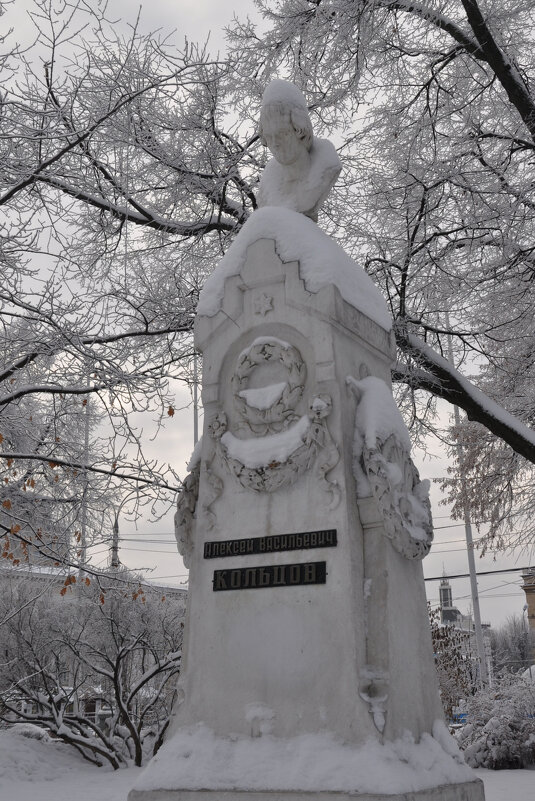 Памятник А. Кольцову в Кольцовском сквере - Татьяна 