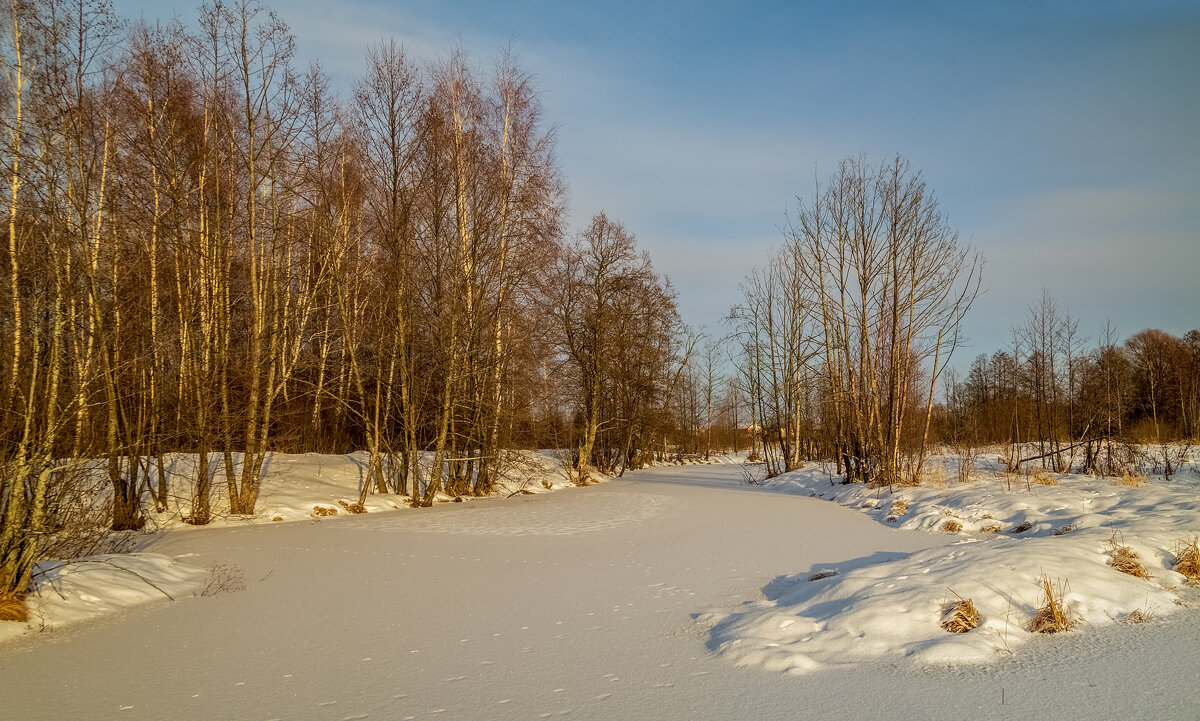 Морозный день Января 2023 # 03 - Андрей Дворников