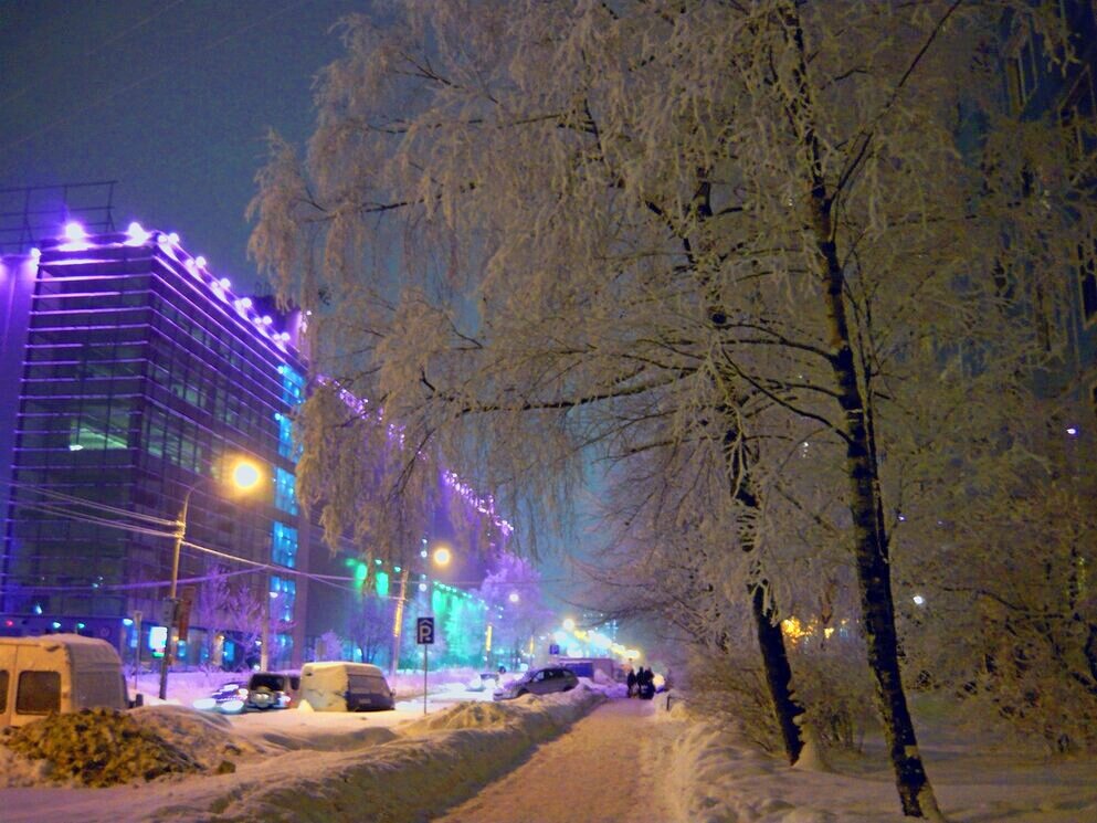 Зимний вечер - Вера Щукина