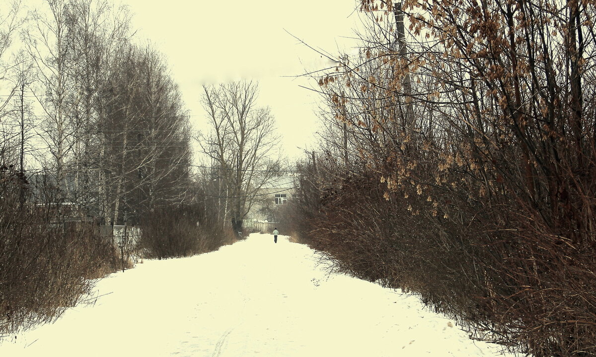 Зима в городке - Елена Минина