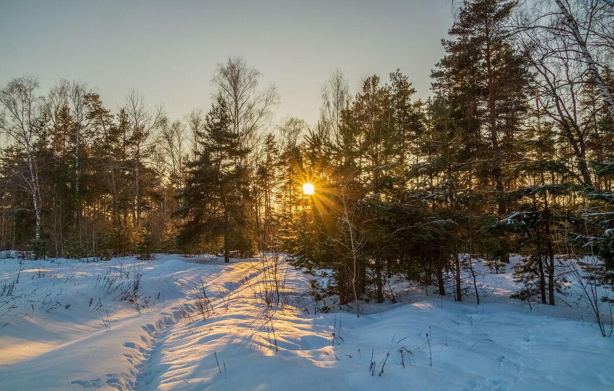 Мороз и Солнце Января # 05 - Андрей Дворников