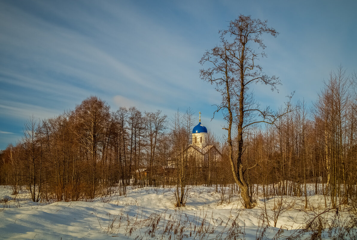 Морозный день Января 2023 # 04 - Андрей Дворников