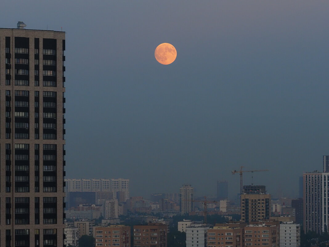 Луна над городом - Евгений Седов
