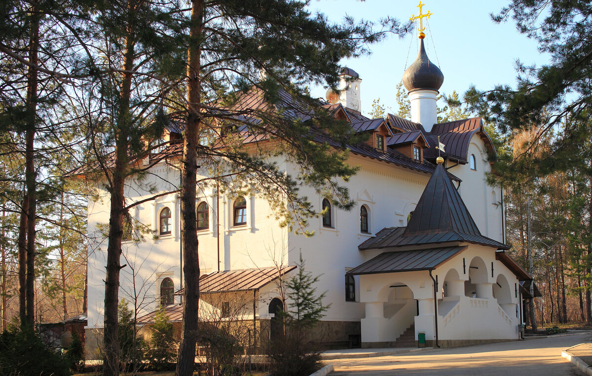 Воскресенский мужской монастырь - Нина Колгатина 