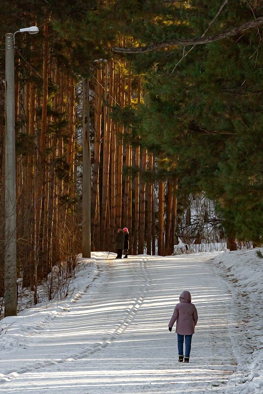 В зимнем парке - Лариса Корсакова