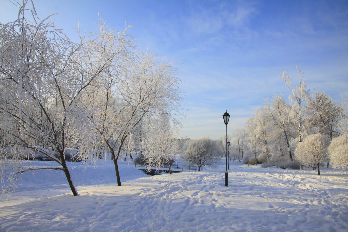 В зимнем парке - Валентина 