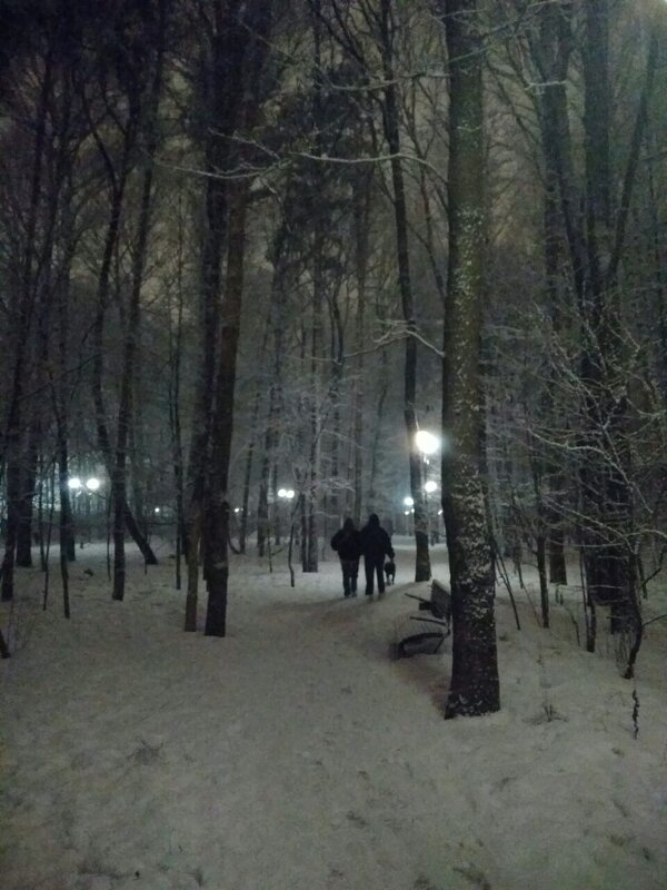 Прогулка под снегопадом - Анна Воробьева