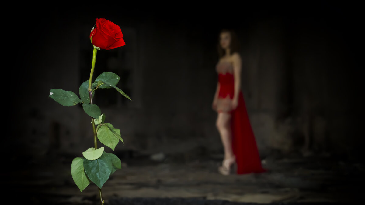 Роза и девушка в красном... - Виктор Швецов