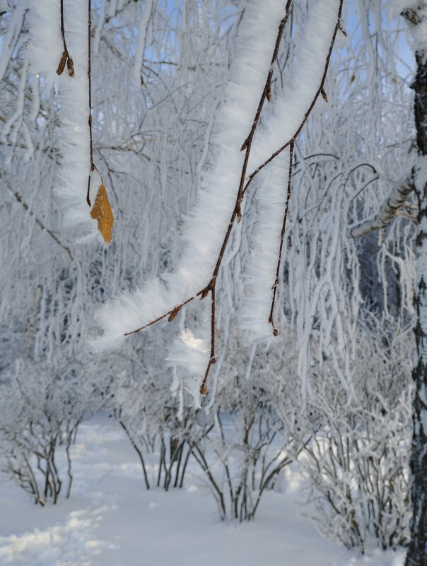 Зима в Уфе - Павел Петров