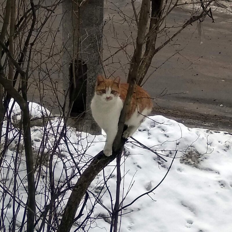 – Эй, кормилец!.. Когда кормить будешь?.. Кушать хочется... - Михаил Андреев