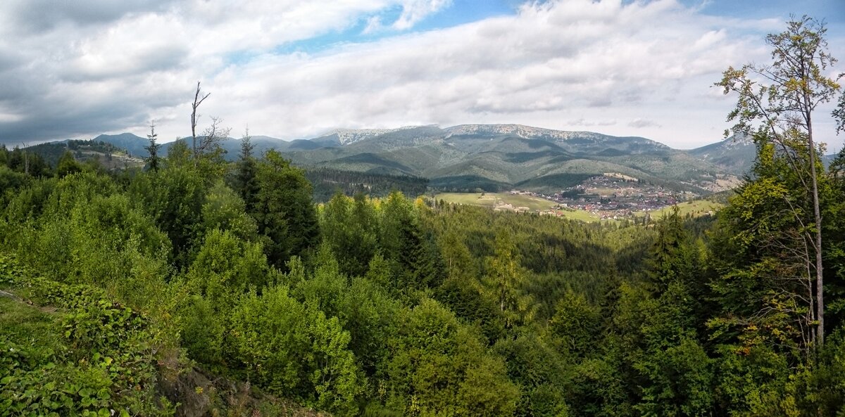 Карпаты - Роман Савоцкий