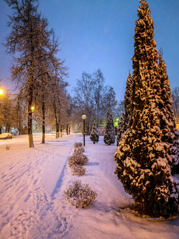 Снежное утро - Sergei Vikulov