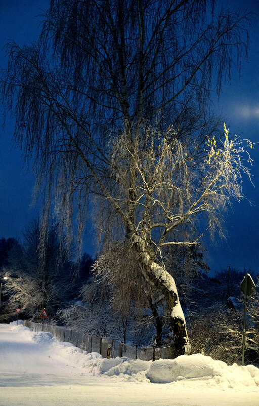 Тихими зимними вечерами - Vlaimir 