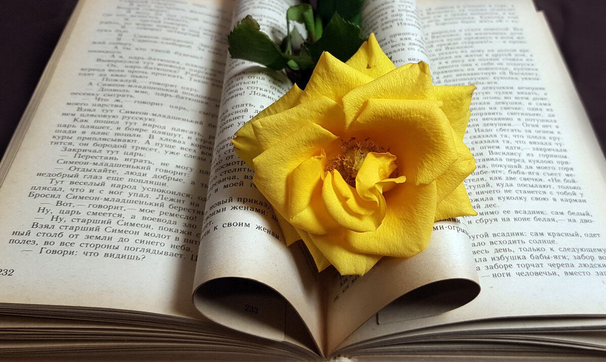 Про желтые розы - Наталья (D.Nat@lia)