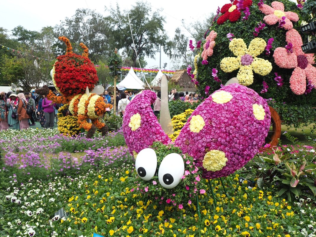 Гонконг "Парк Виктория" - цветочное шоу Hong Kong Flower Show Victoria Park - wea *
