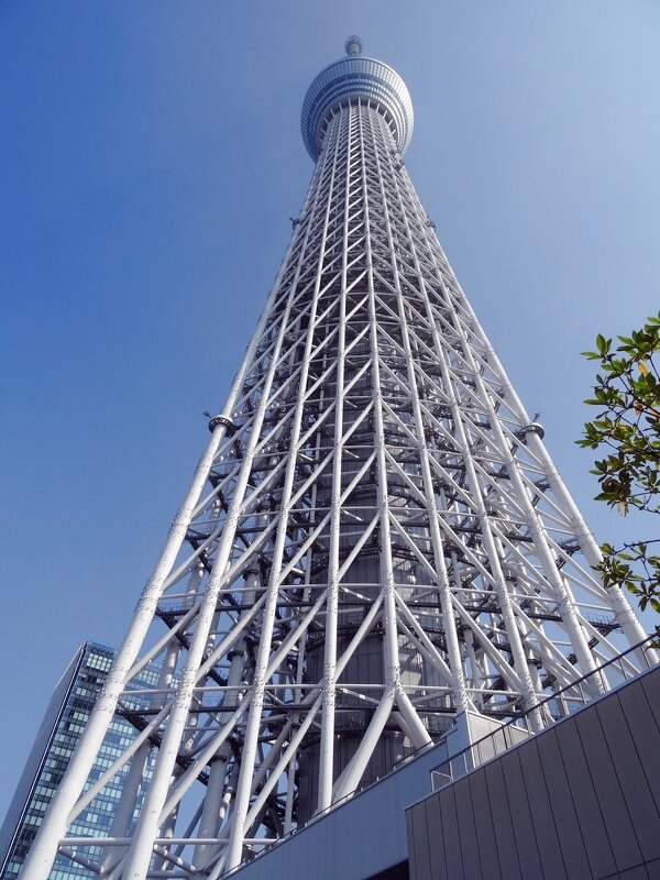 Вид вблизи ТВ башня "Tokyo Skytree" "Небесное дерево" Токио Япония - wea *