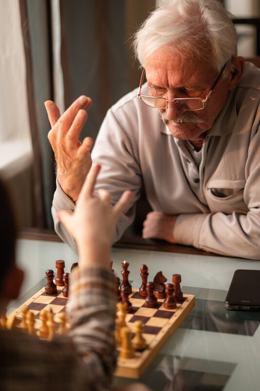 Шахматный бой с внуком - Светлана Королева