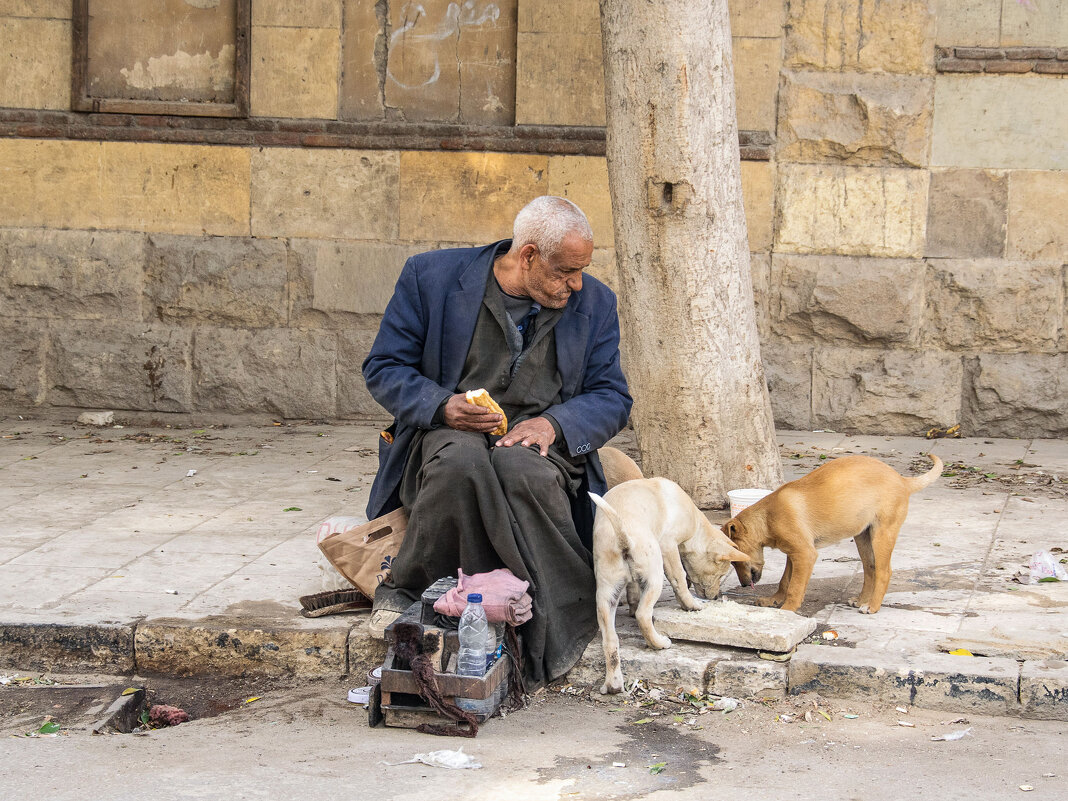 Друзья (на улицах Каира) - Andrew Завго