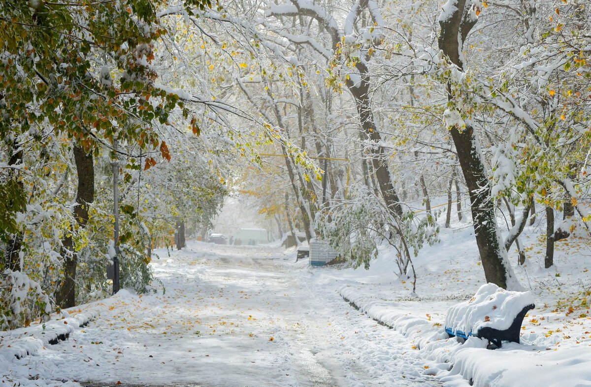 Осенне-зимний период..... - Юрий Цыплятников