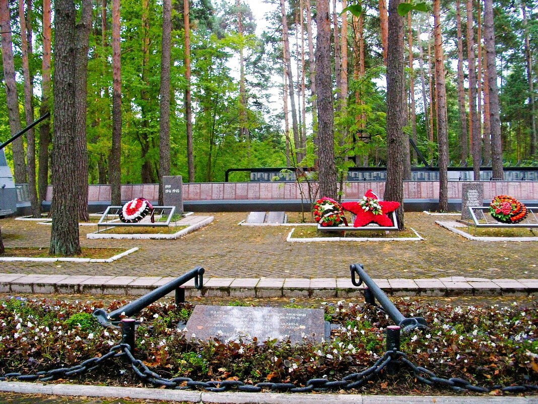 Мемориальный комплекс "Защитникам Отечества". - Лия ☼