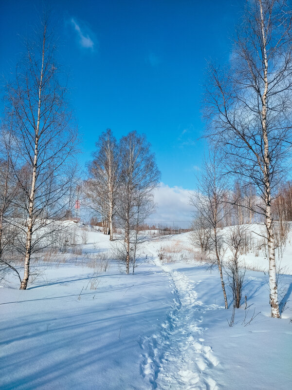 В парке - Юля Жуковская