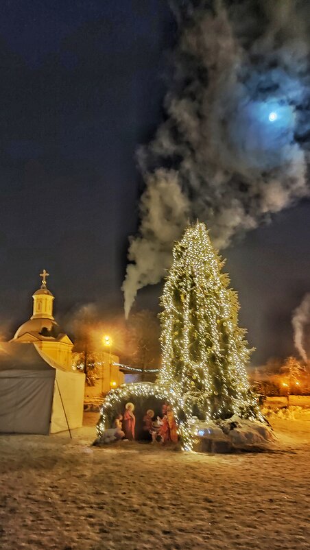 В Рождественскую ночь в Лавре - Marina Timoveewa