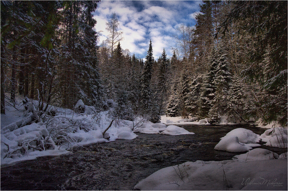 "Река в заснеженном лесу"© - Владимир Макаров