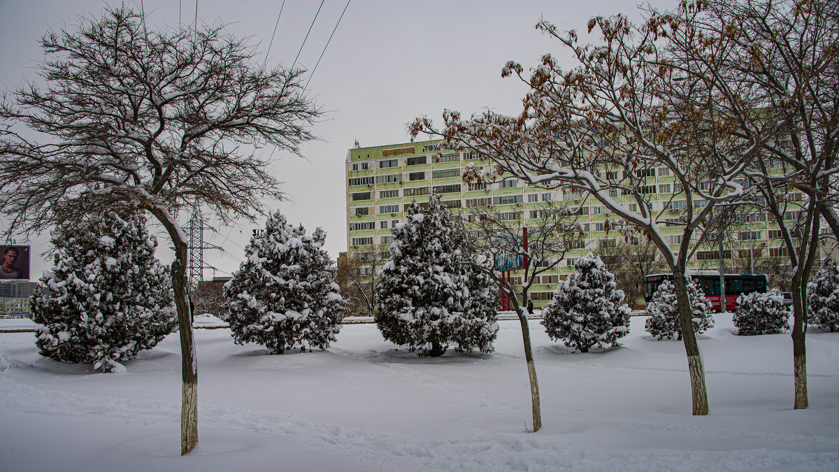 зима в городе - Анатолий Чикчирный