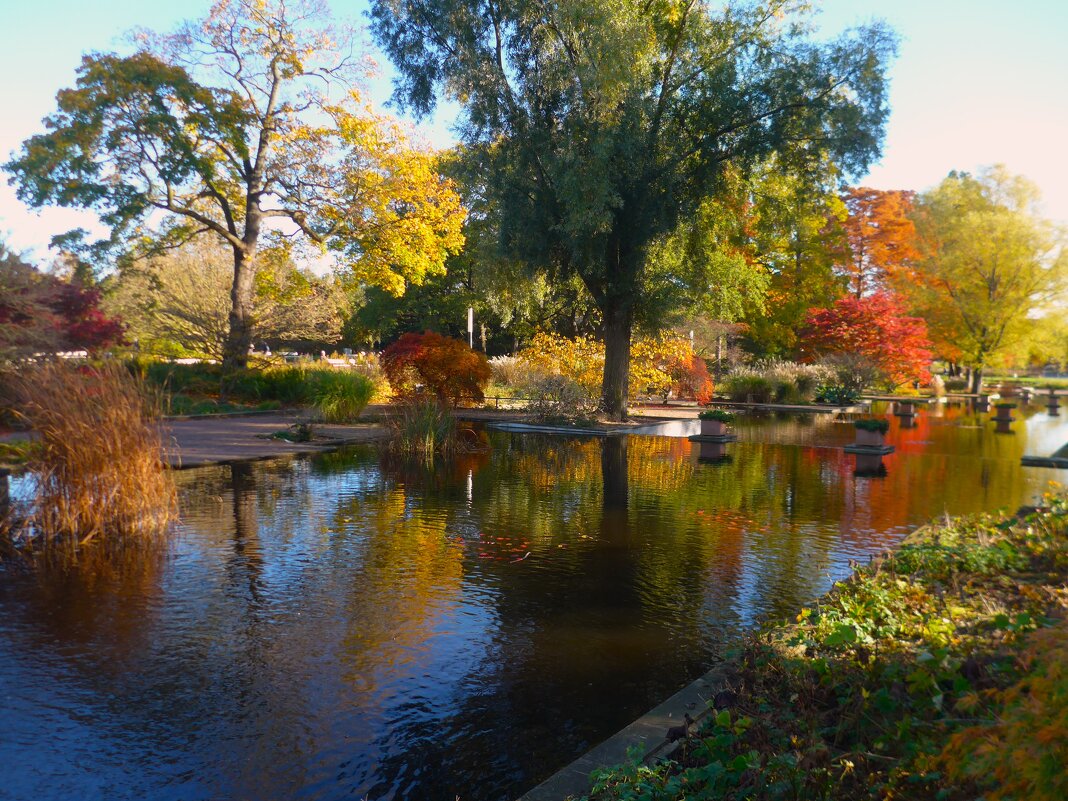 Осенняя акварель в парке цветов - Nina Yudicheva
