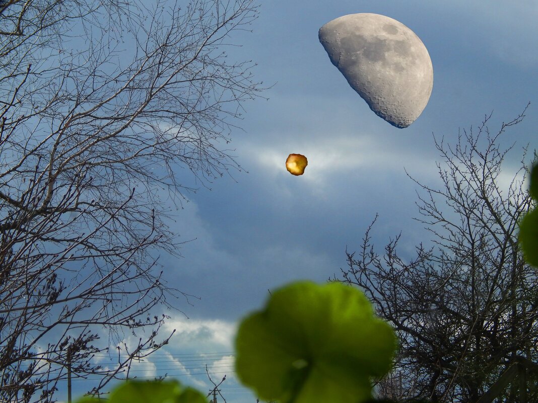 луна и марс - Alisa Koteva 