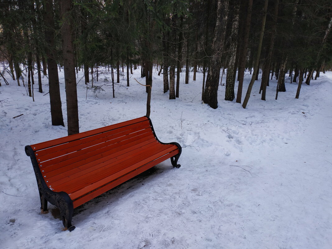 Об "эффекте красного пальто" на фотографии. :-) - Андрей Лукьянов