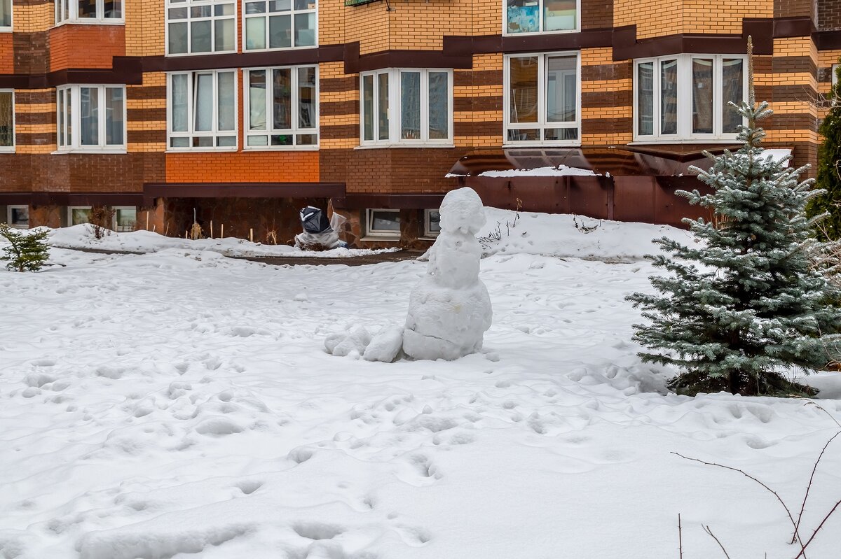 Мартовский снеговик - Валерий Иванович
