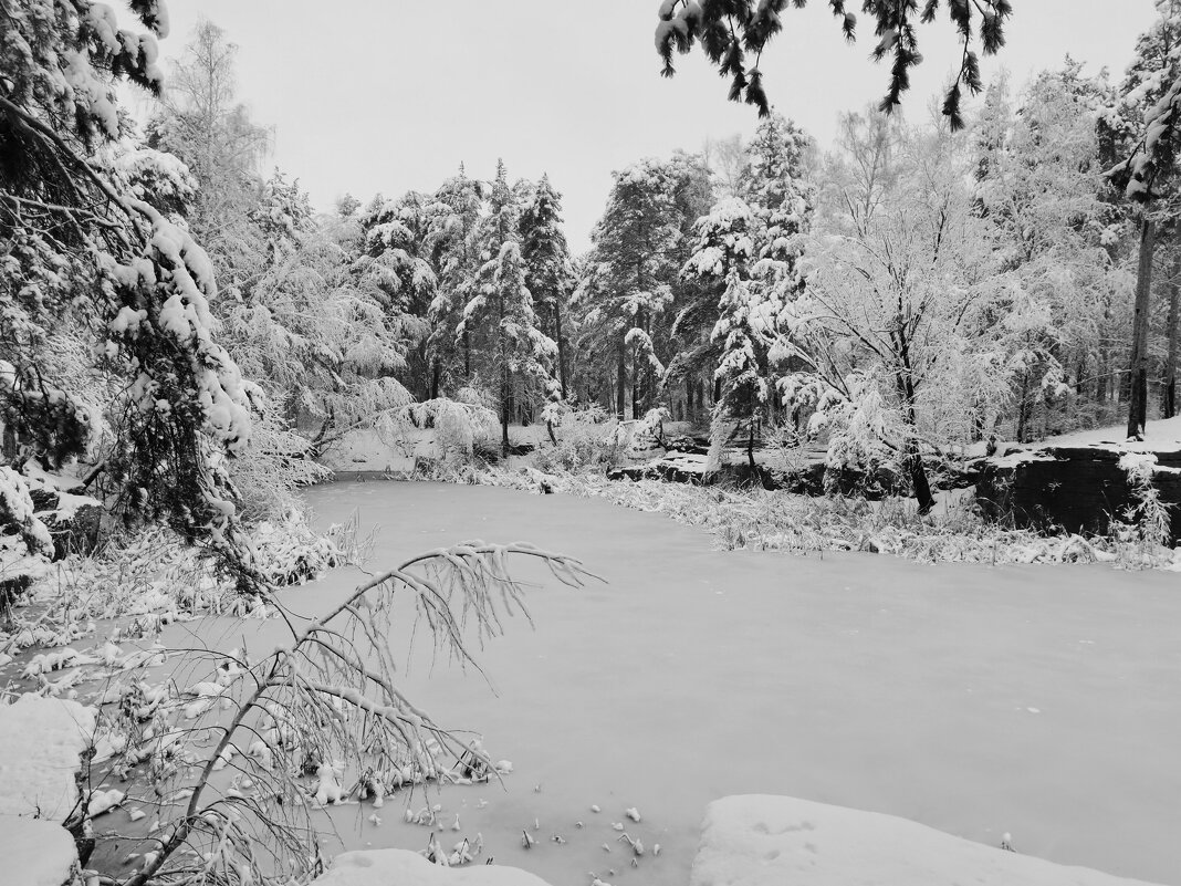 Зима - Наталья Катульская