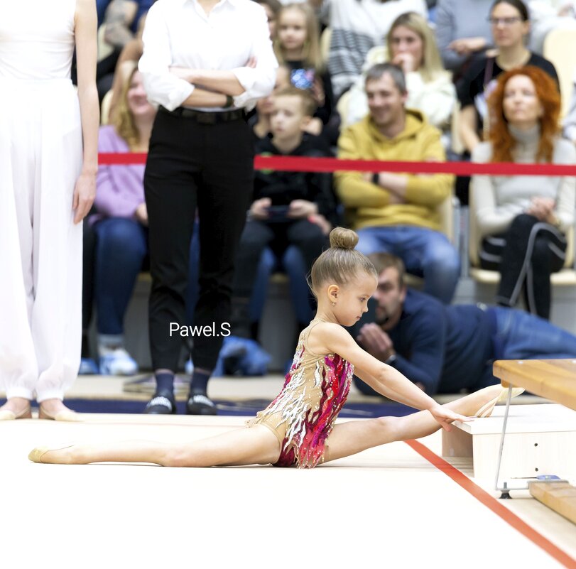 Юная гимнастка - Павел Сущёнок