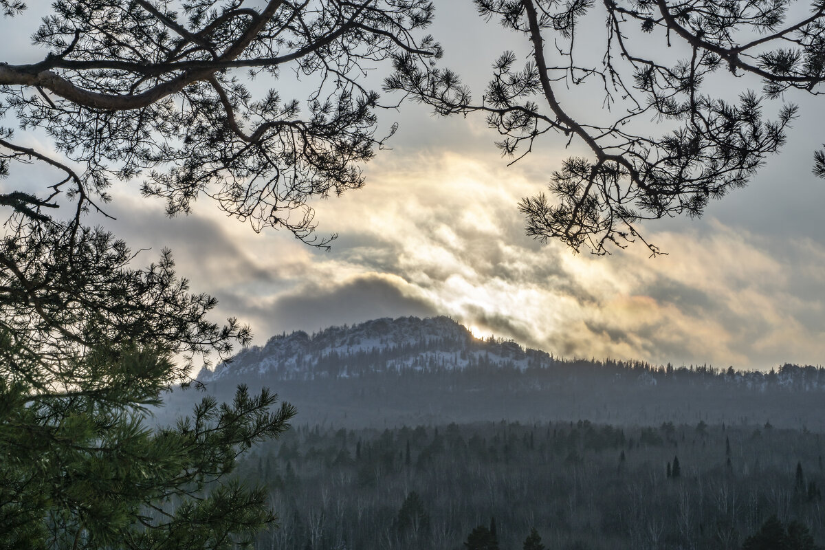Пик Уфа (919 м) в лучах закатного солнца... Вид с макушки горы Черничная... - Наталья Меркулова